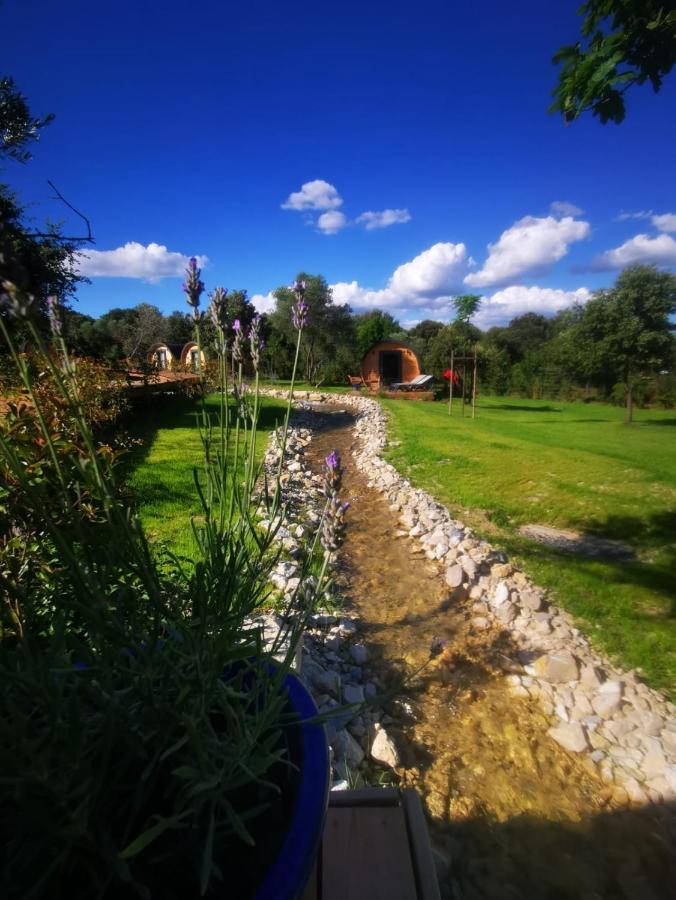 Camping Les Pres Du Roi Sommières Exteriér fotografie