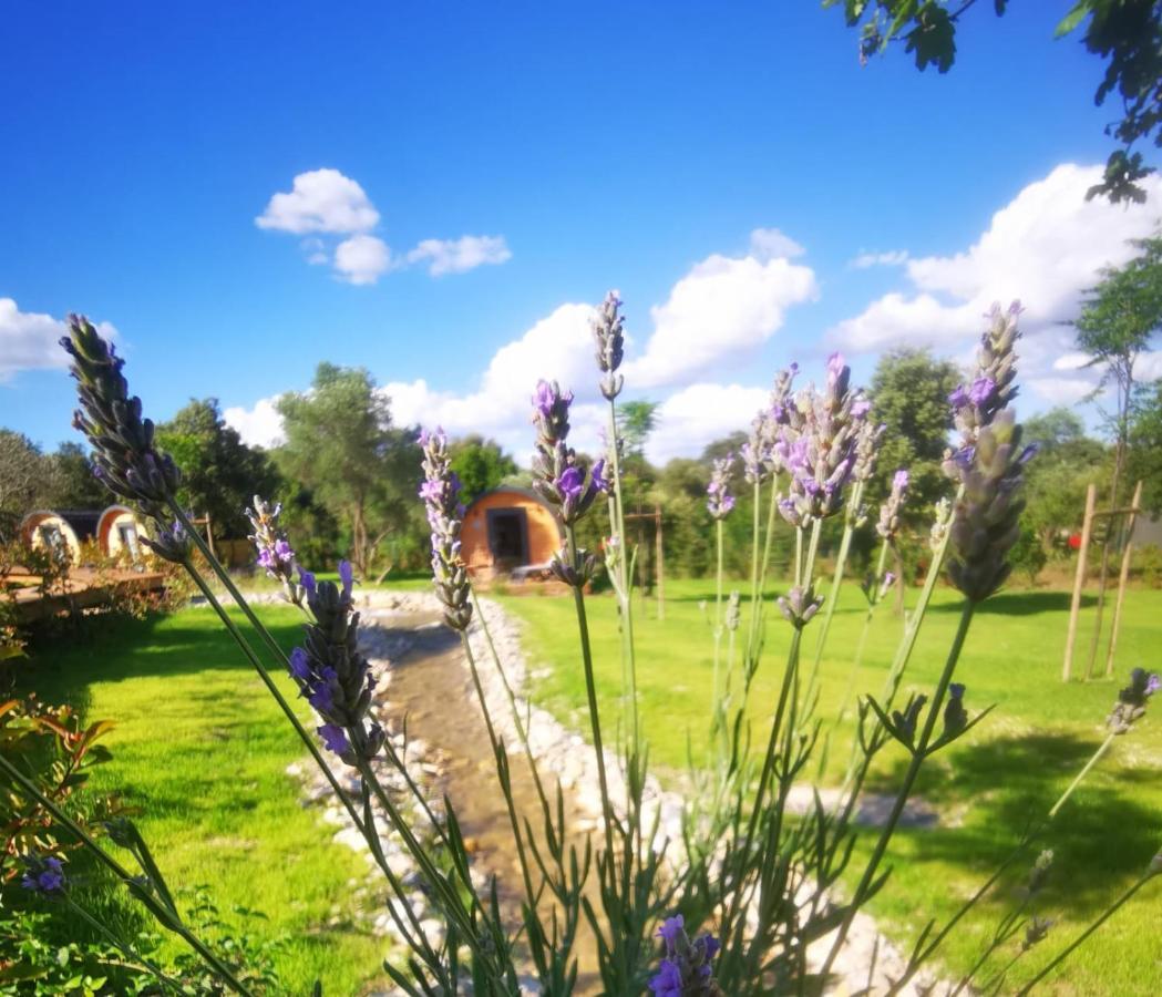 Camping Les Pres Du Roi Sommières Exteriér fotografie